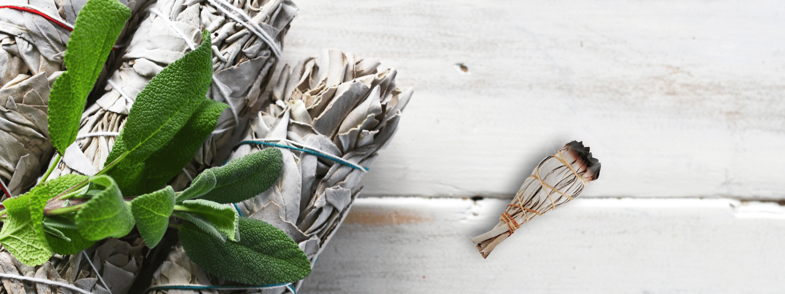 Lire la suite à propos de l’article Le bouquet de sauge